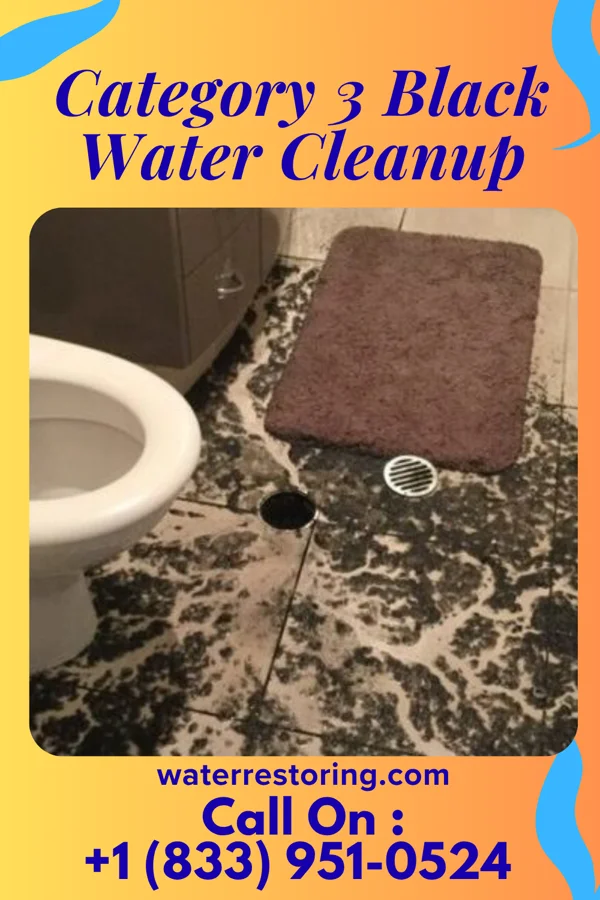 Category 3 Black Water Cleanup in Sun Lakes, AZ