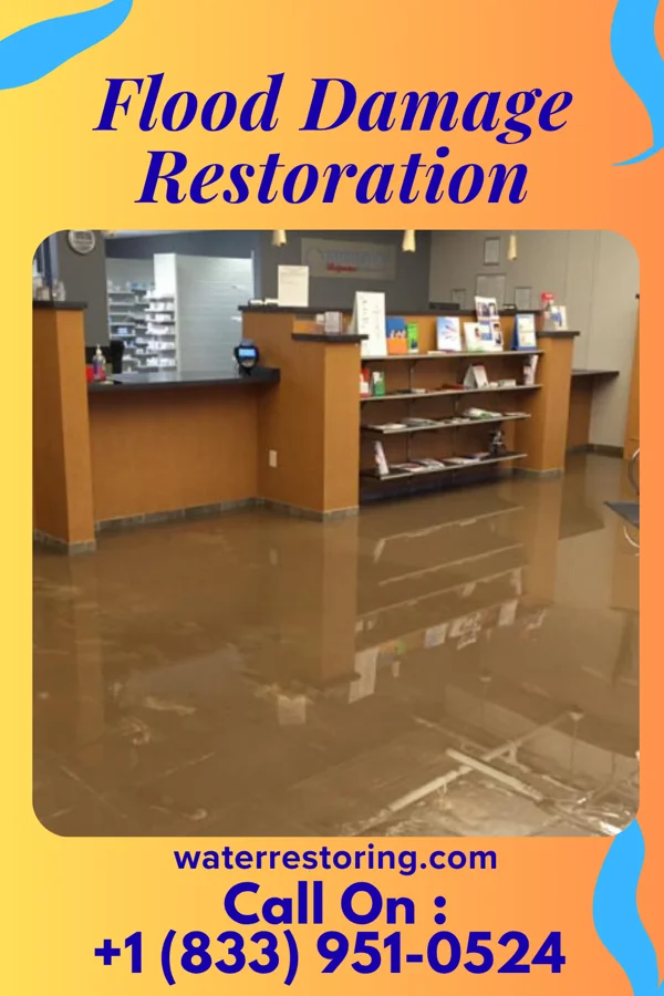 Flood Damage Restoration in Sun Lakes, AZ