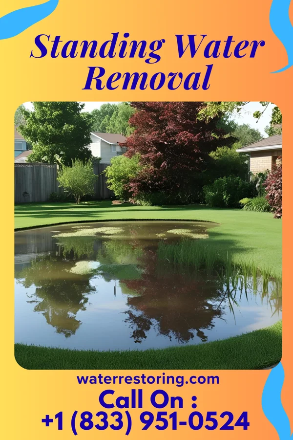 Standing Water Removal in Sun Lakes, AZ